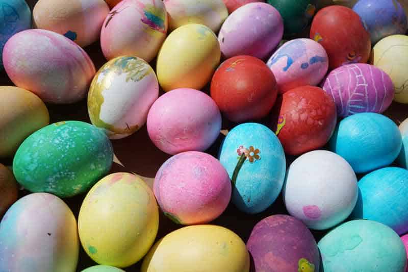 Hunt for Easter Eggs!